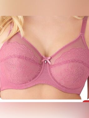 Wacoal Sheer Lace Underwire Bra in Dusty Pink